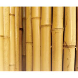 cheap price 30mm bamboo panel bamboo