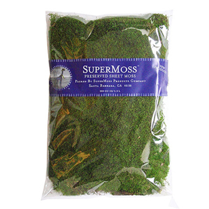 SuperMoss (25322) Forest Moss Preserved, Fresh Green, 8oz